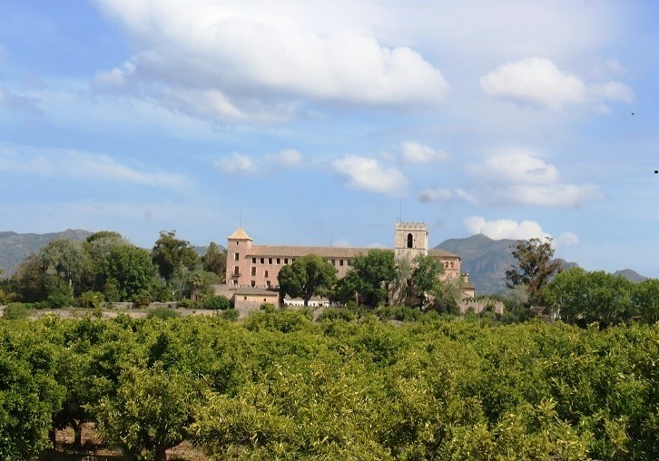 Sant Jeroni de Cotalba (06/05/18) </br> Fotos Amparo Pons i AlumniUV